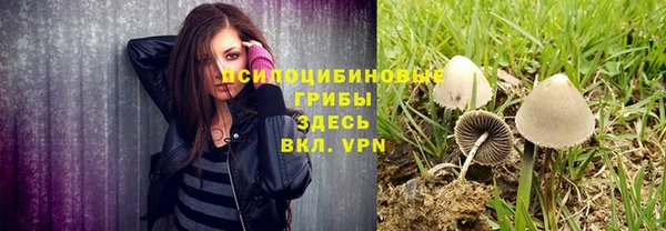 бошки Краснотурьинск