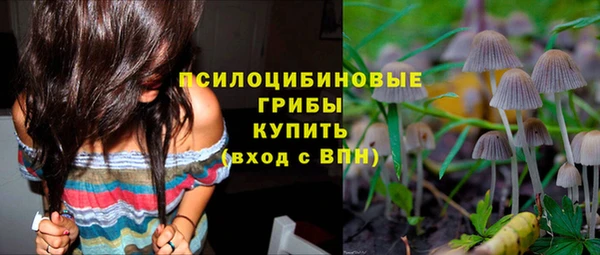 эйфоретик Краснослободск