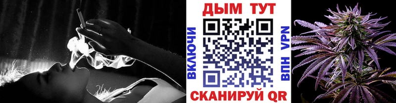 Бошки Шишки планчик Никольское